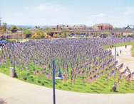 healing fields